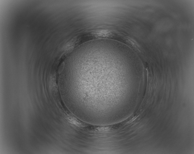 X0000058120377200509261240