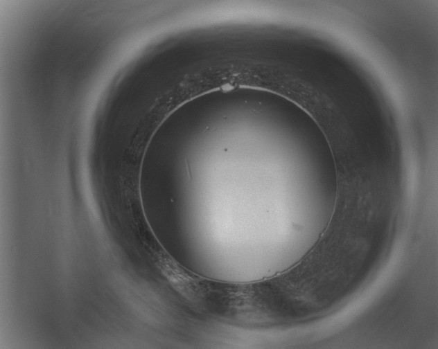 X0000058120382200509261240