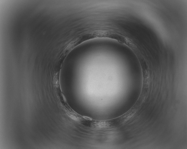 X0000058120383200509261241