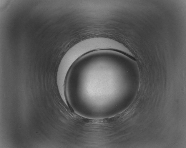 X0000058120384200509261241