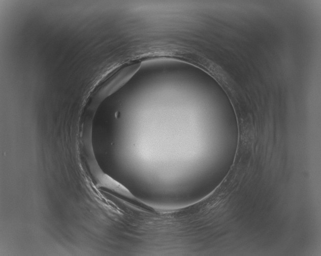 X0000058120386200509261240