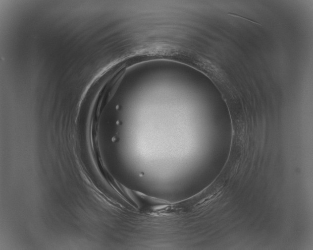 X0000058120392200509261240