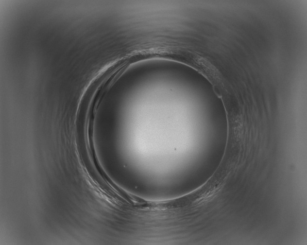 X0000058120395200509261240