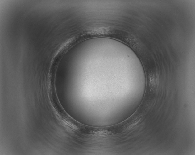 X0000058120396200509261240