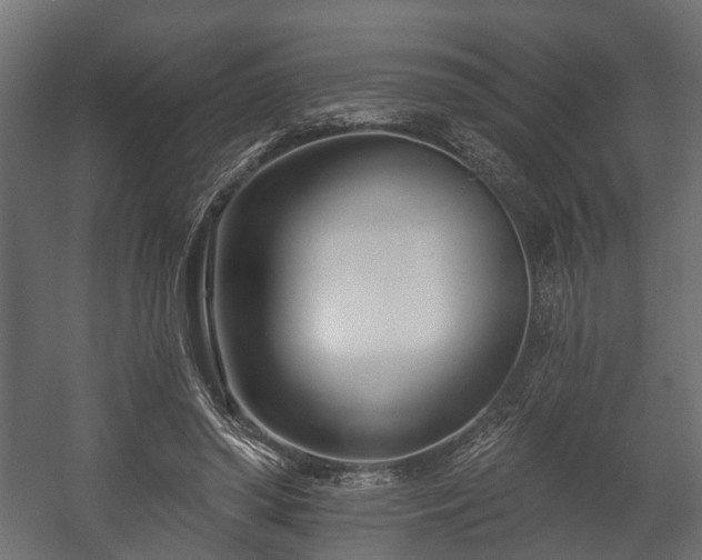 X0000058120398200509261239