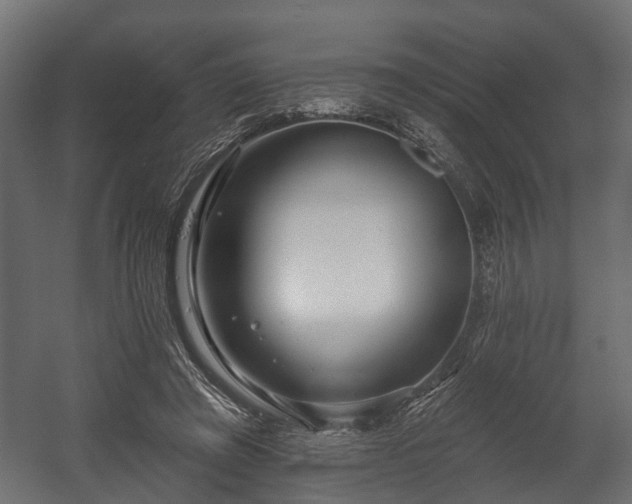 X0000058120401200509261239