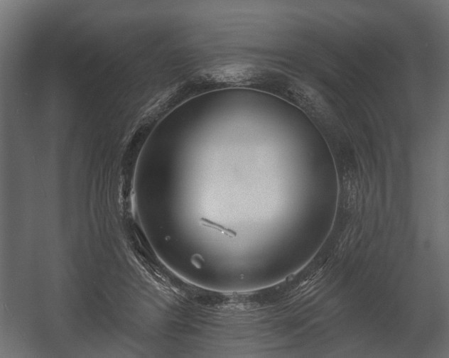 X0000058120404200509261239