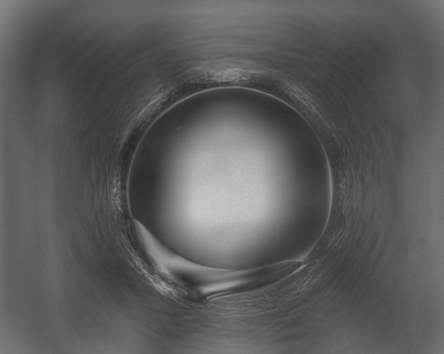 X0000058120407200509261239