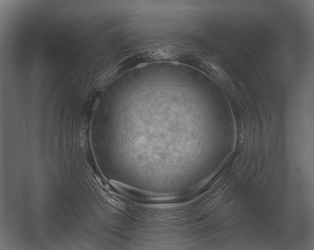 X0000058120409200509261239