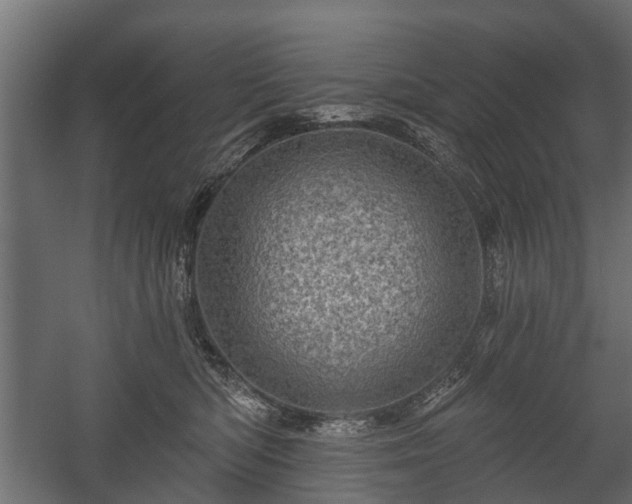 X0000058120422200509261239