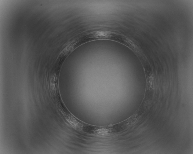 X0000058120423200509261239