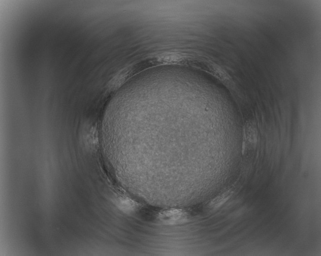 X0000058120431200509261239