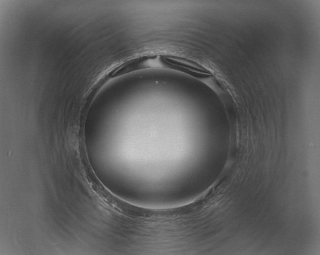 X0000058120434200509261238