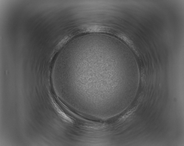 X0000058120445200509261238