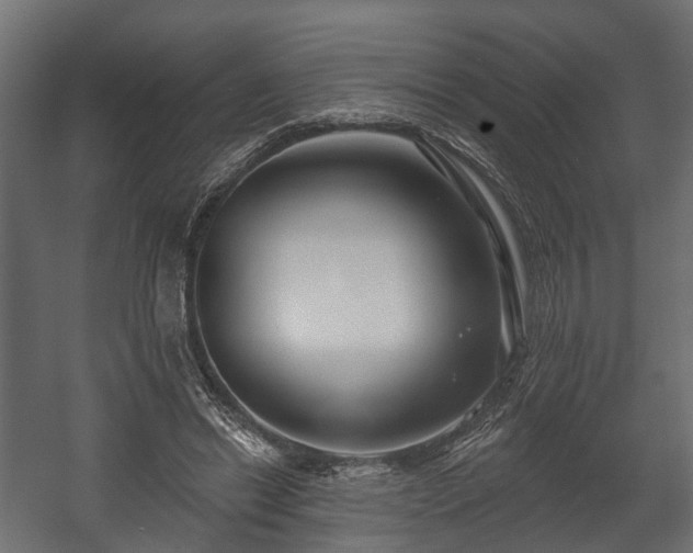 X0000058120446200509261238