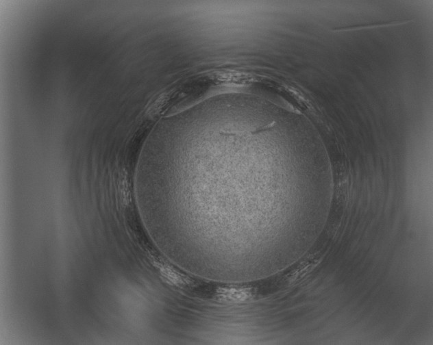 X0000058120469200509261239