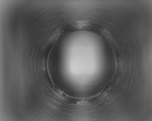 X0000058120470200509261239