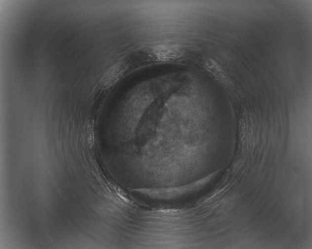 X0000058120471200509261239