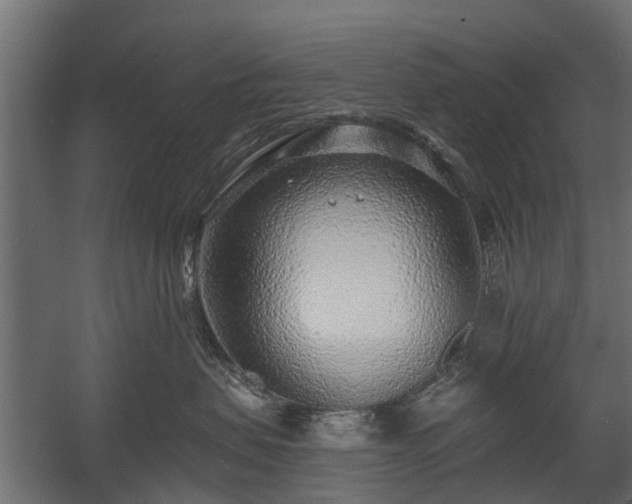 X0000058120479200509261239