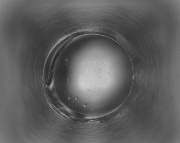 X0000058120484200509261238