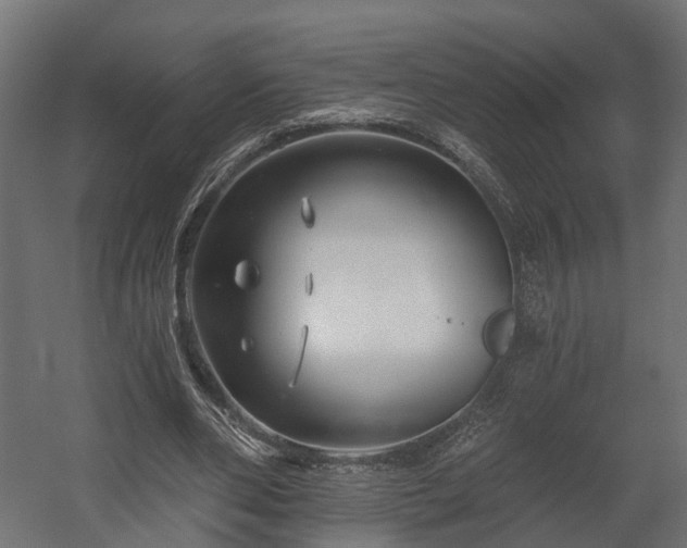 X0000058120486200509261238