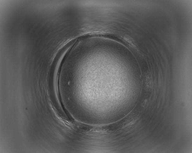 X0000058120491200509261238