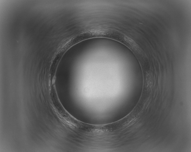 X0000058120494200509261238