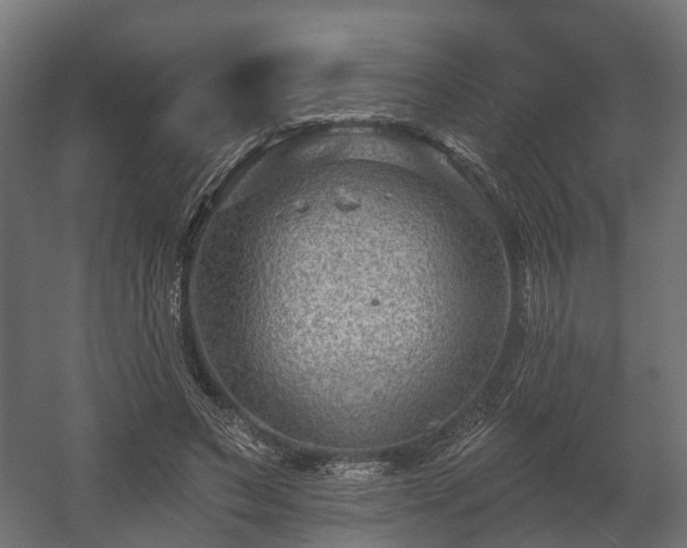 X0000058120495200509261238