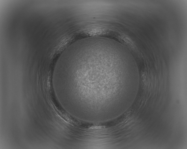 X0000058120499200509261238