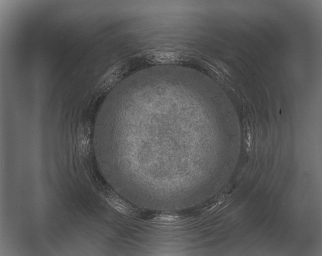 X0000058120507200509261238