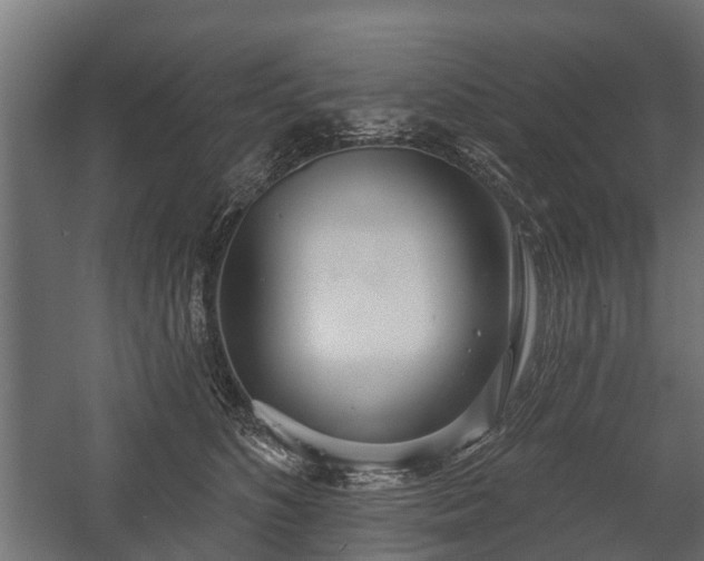X0000058120516200509261237