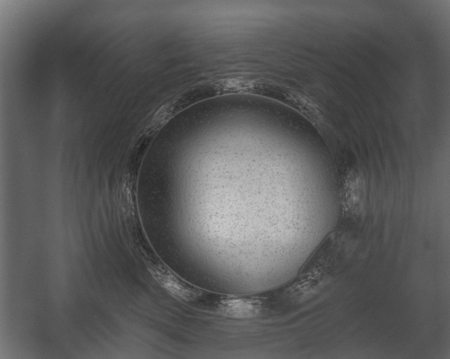 X0000058120522200509261237