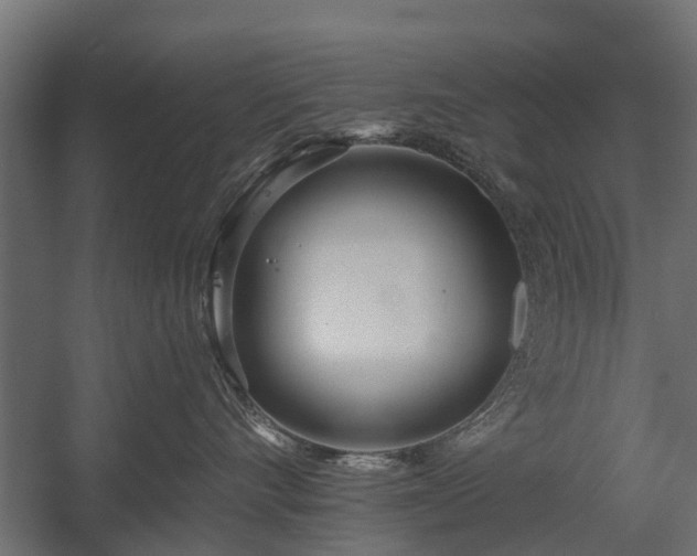 X0000058120528200509261237