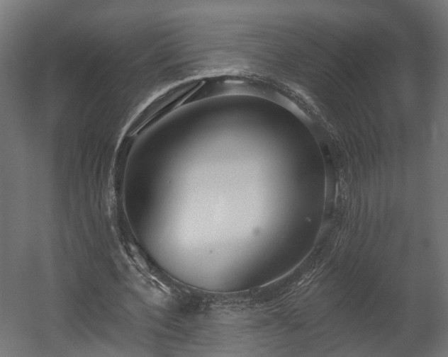 X0000058120532200509261236