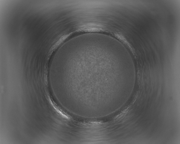 X0000058120533200509261236