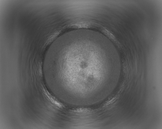 X0000058120537200509261237