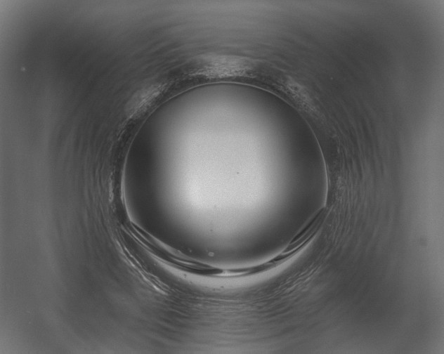 X0000058120539200509261237