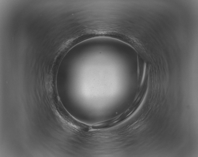 X0000058120540200509261237