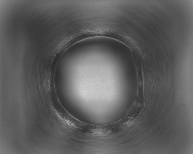X0000058120544200509261237