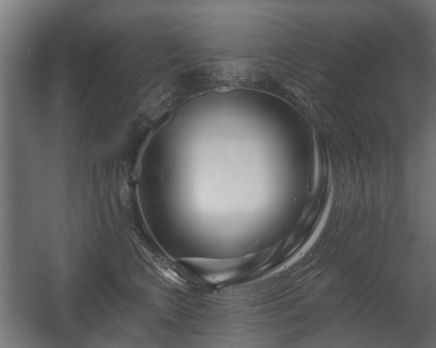X0000058120566200509261237
