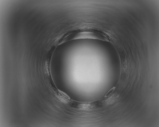 X0000058120575200509261237