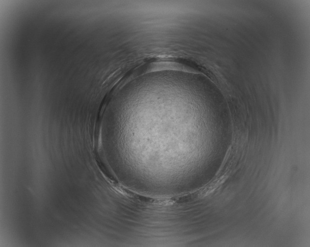 X0000058120576200509261237