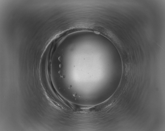 X0000058120580200509261236