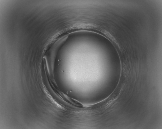 X0000058120581200509261236