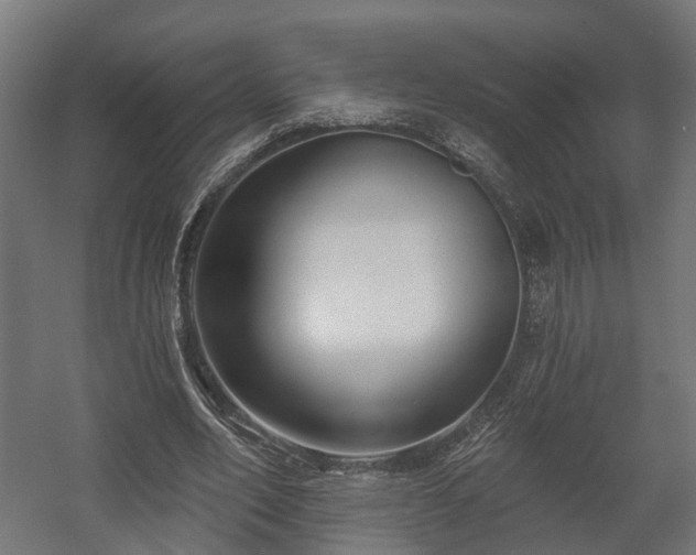 X0000058120582200509261236
