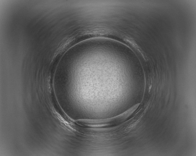 X0000058120585200509261236
