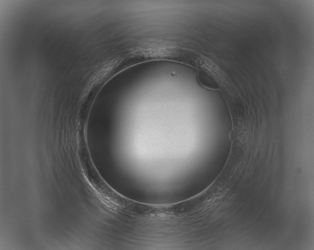 X0000058120586200509261236