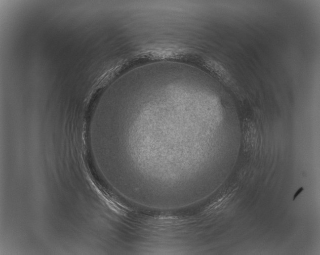 X0000058120590200509261236