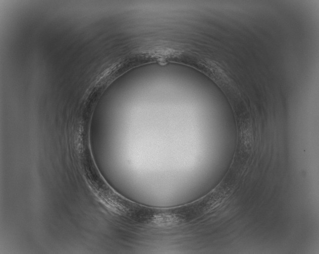 X0000058120591200509261236