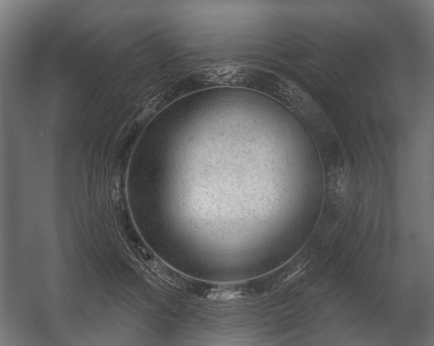 X0000058120602200509261236